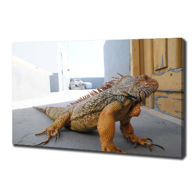 Canvas wall art Iguana