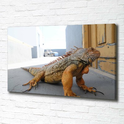 Canvas wall art Iguana