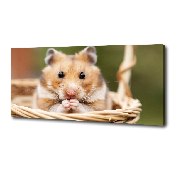 Canvas wall art Hamster in the basket