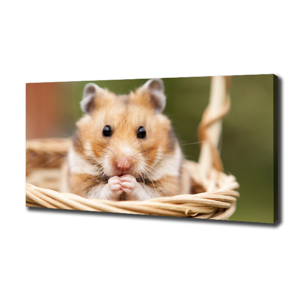 Canvas wall art Hamster in the basket