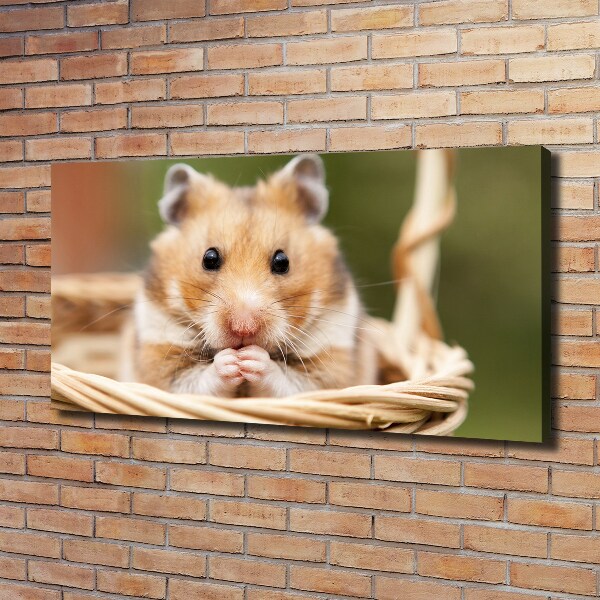 Canvas wall art Hamster in the basket