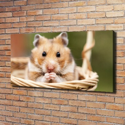 Canvas wall art Hamster in the basket