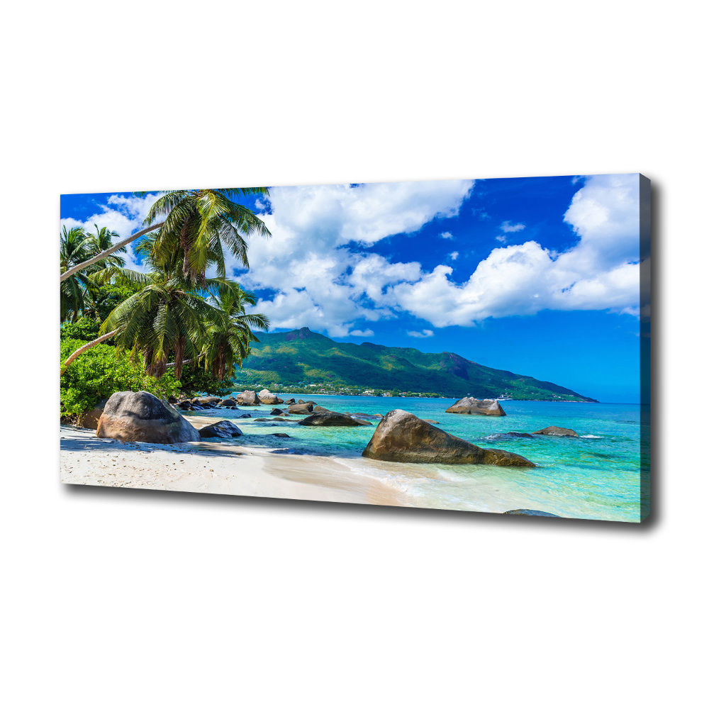 Canvas wall art Seychelles beach