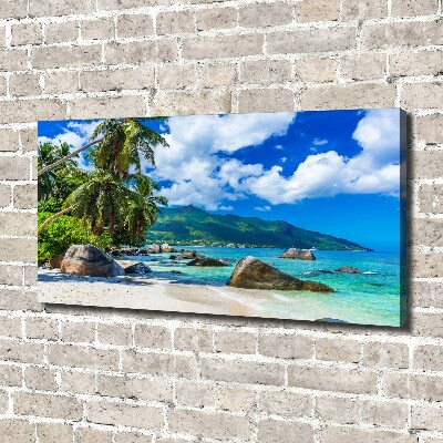 Canvas wall art Seychelles beach