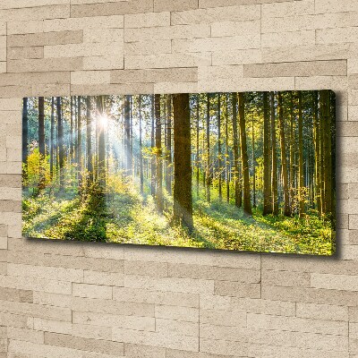 Canvas wall art Forest in the sun