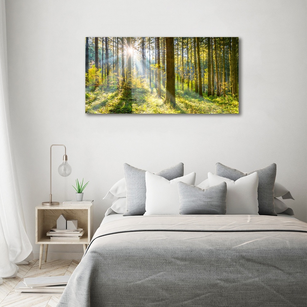 Canvas wall art Forest in the sun