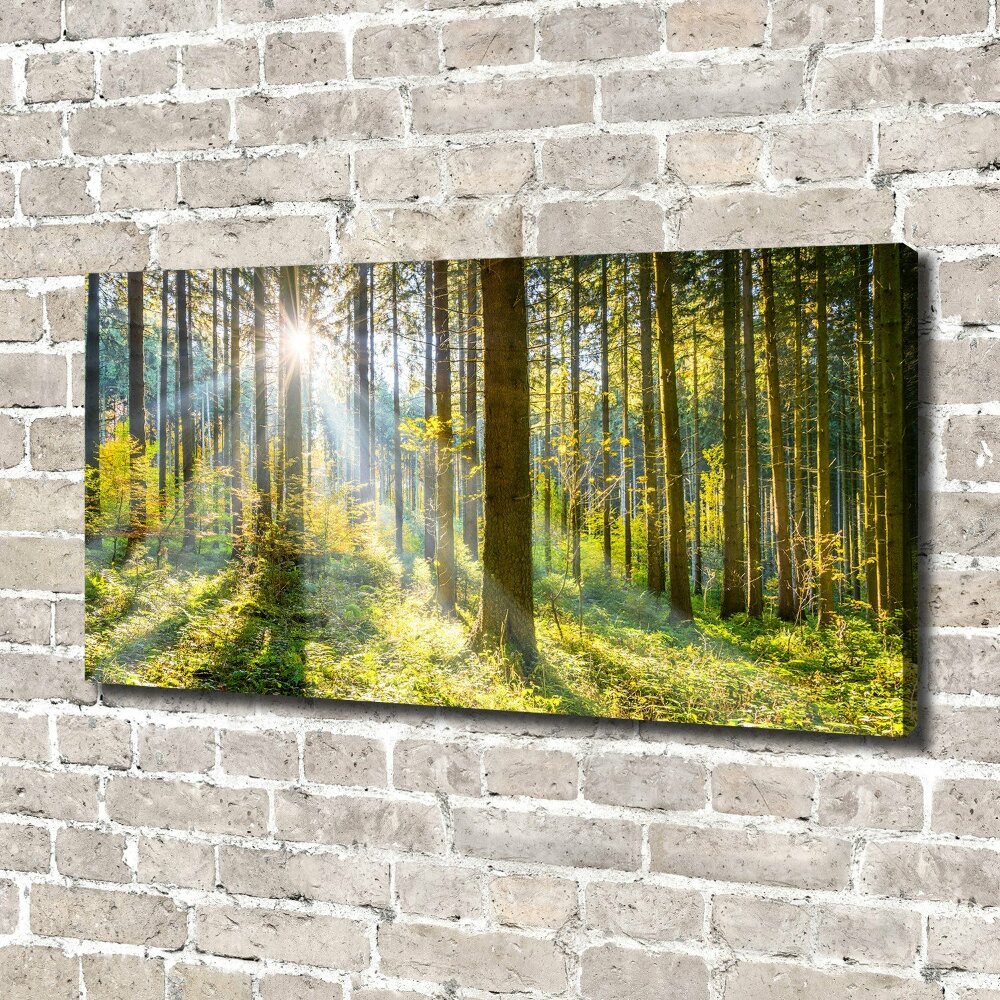 Canvas wall art Forest in the sun