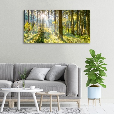 Canvas wall art Forest in the sun