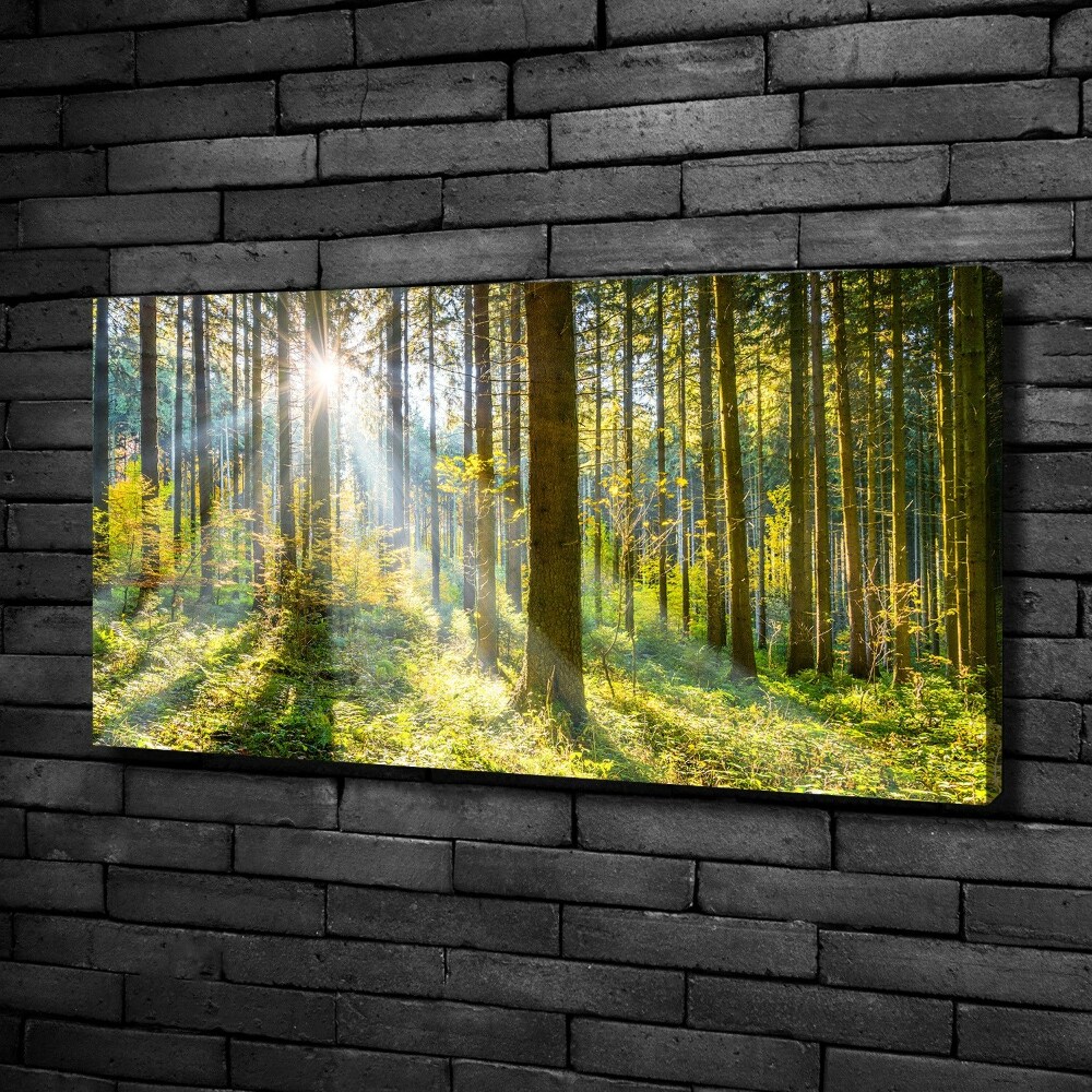 Canvas wall art Forest in the sun