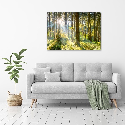 Canvas wall art Forest in the sun