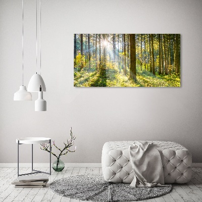 Canvas wall art Forest in the sun