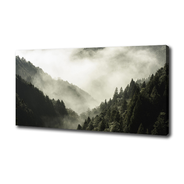 Canvas wall art Fog over the forest