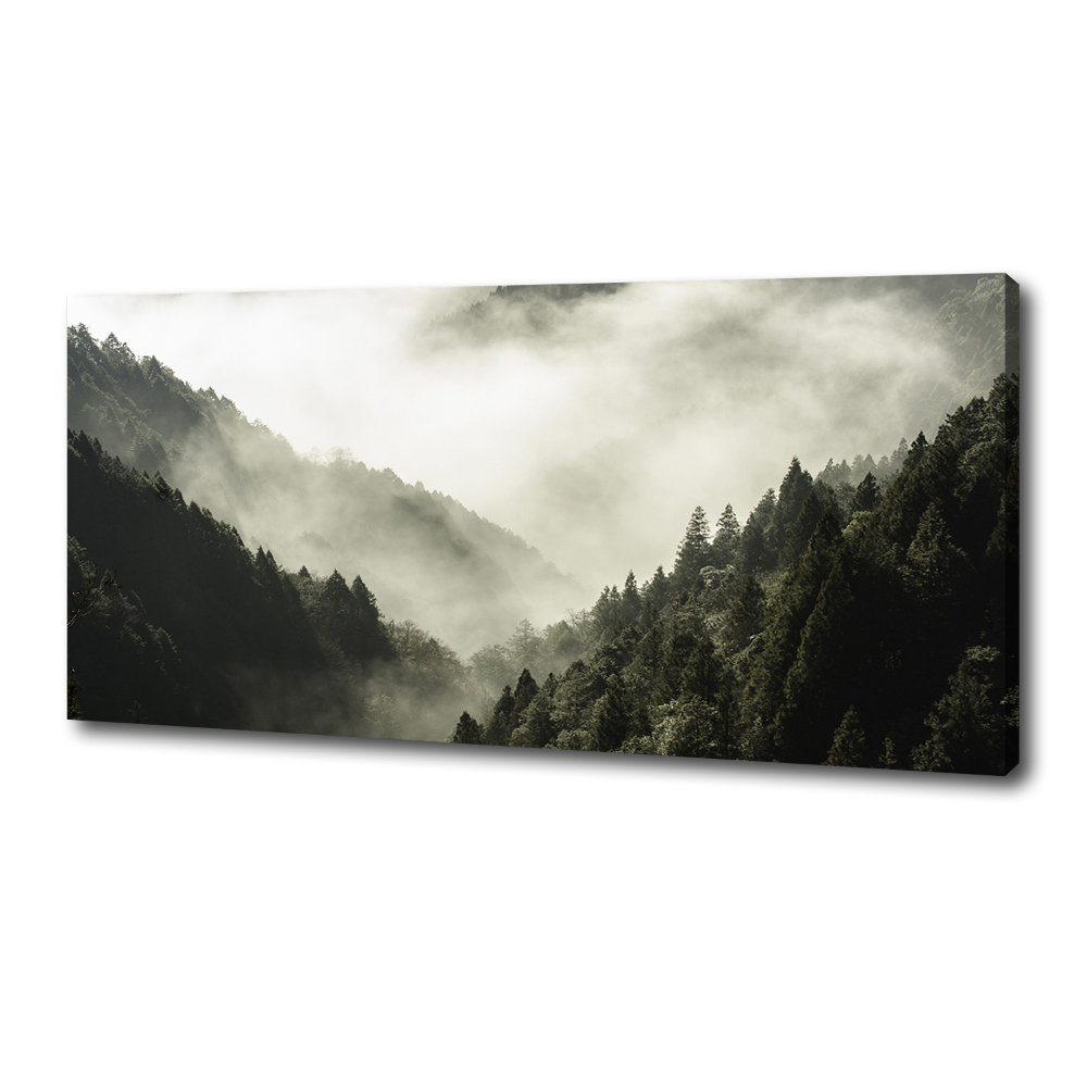 Canvas wall art Fog over the forest