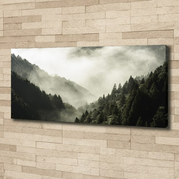 Canvas wall art Fog over the forest