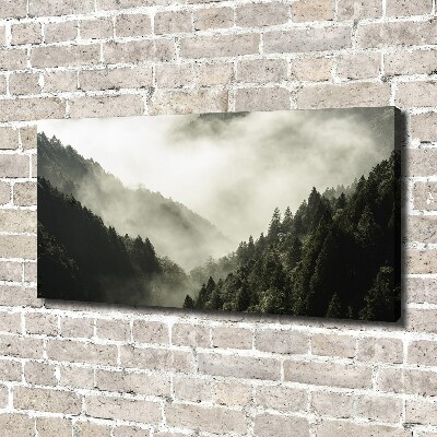 Canvas wall art Fog over the forest