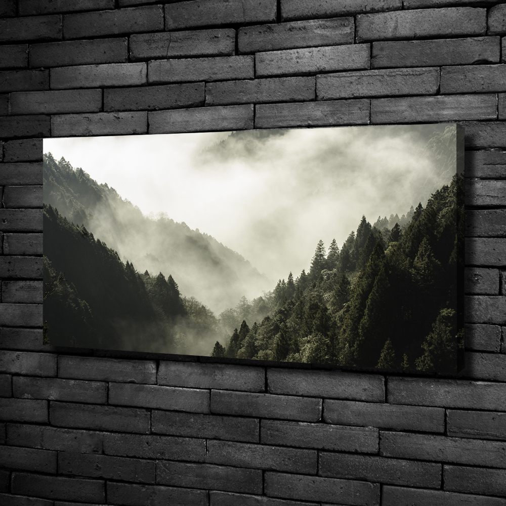 Canvas wall art Fog over the forest