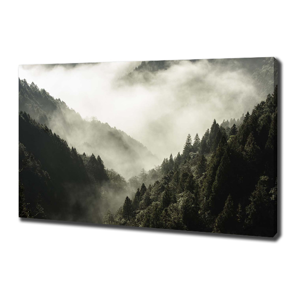 Canvas wall art Fog over the forest