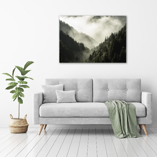 Canvas wall art Fog over the forest