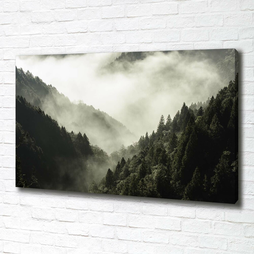 Canvas wall art Fog over the forest