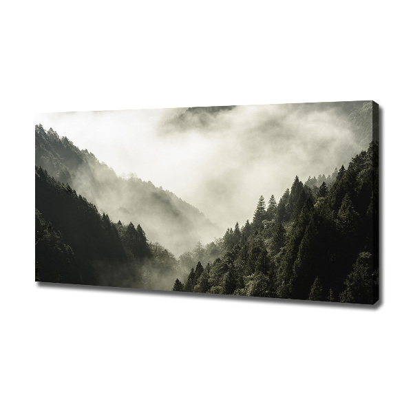 Canvas wall art Fog over the forest