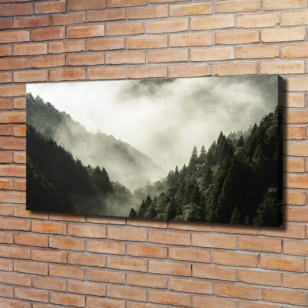 Canvas wall art Fog over the forest