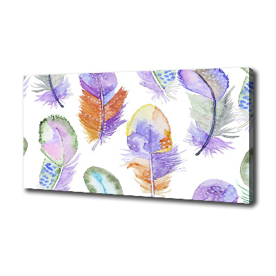 Canvas wall art Colorful feathers