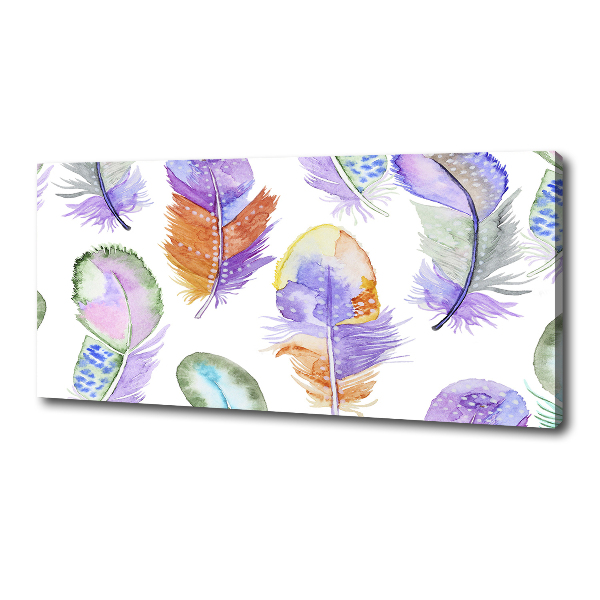 Canvas wall art Colorful feathers