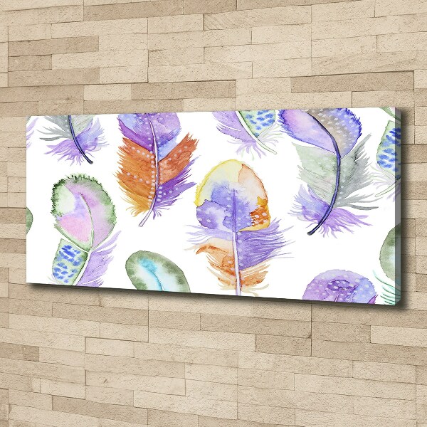 Canvas wall art Colorful feathers