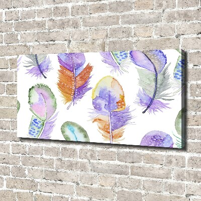 Canvas wall art Colorful feathers