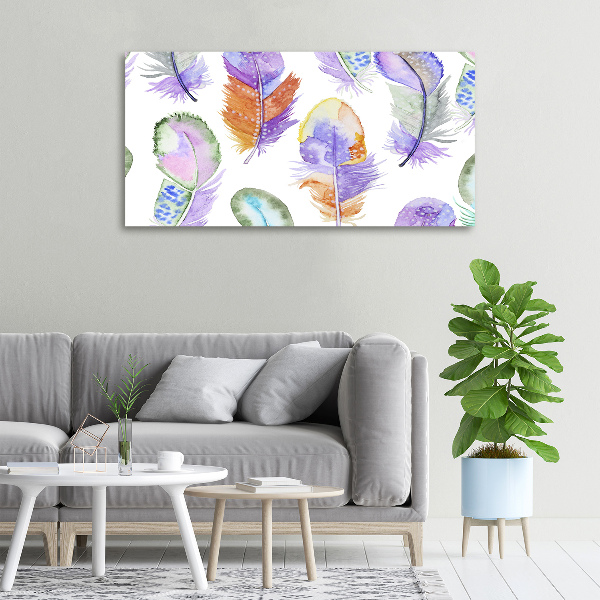 Canvas wall art Colorful feathers