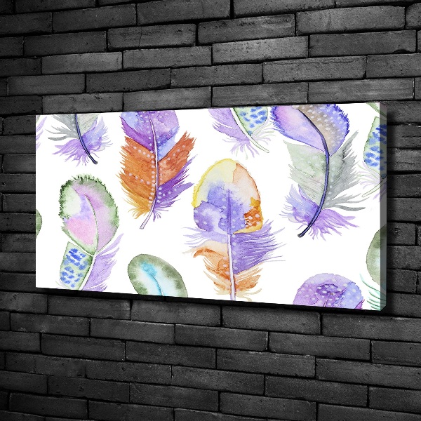 Canvas wall art Colorful feathers