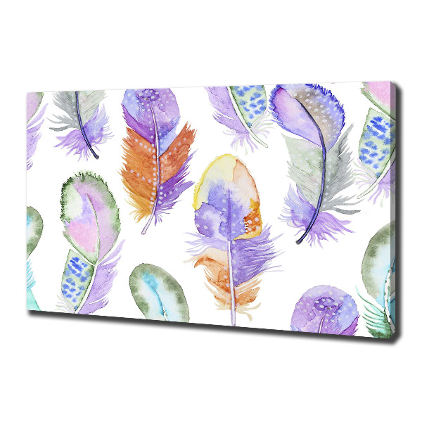 Canvas wall art Colorful feathers