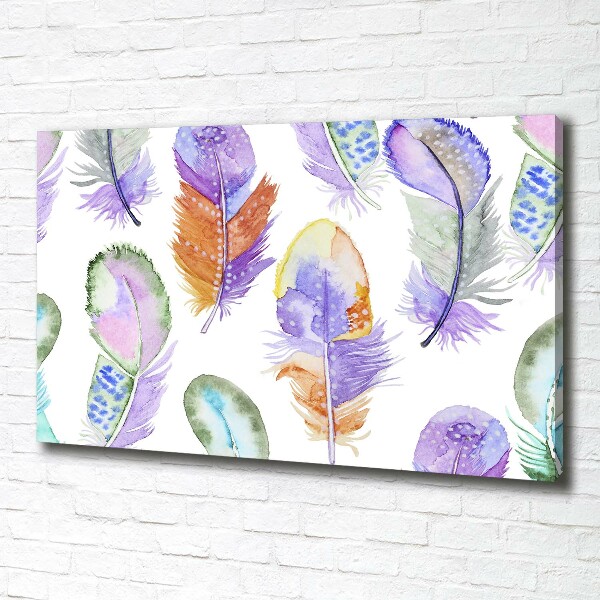 Canvas wall art Colorful feathers