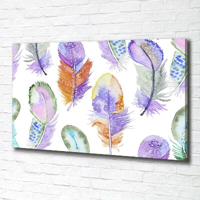 Canvas wall art Colorful feathers