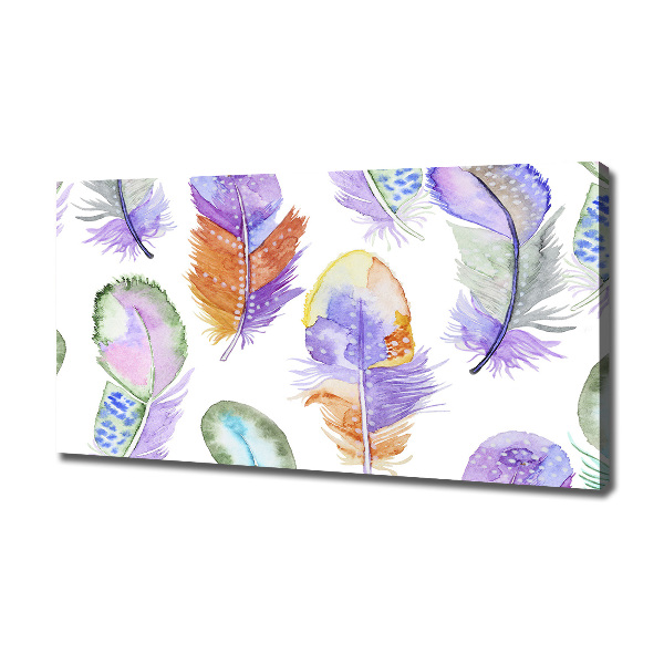 Canvas wall art Colorful feathers