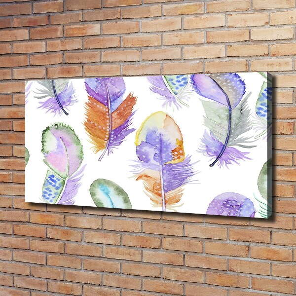 Canvas wall art Colorful feathers