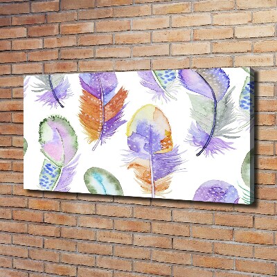 Canvas wall art Colorful feathers