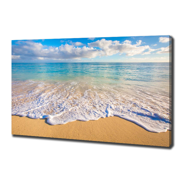 Canvas wall art Hawaiian beach