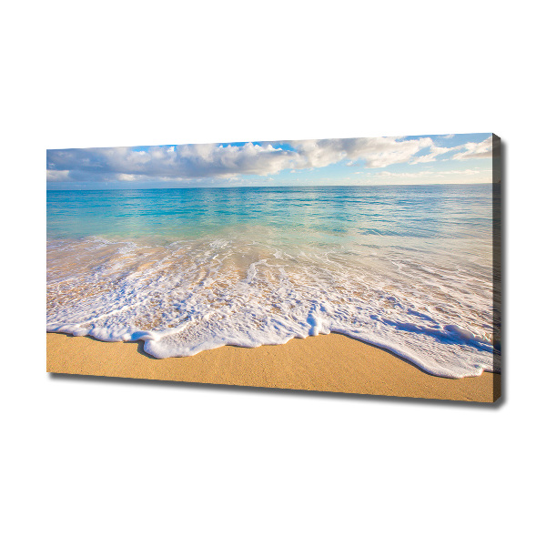 Canvas wall art Hawaiian beach