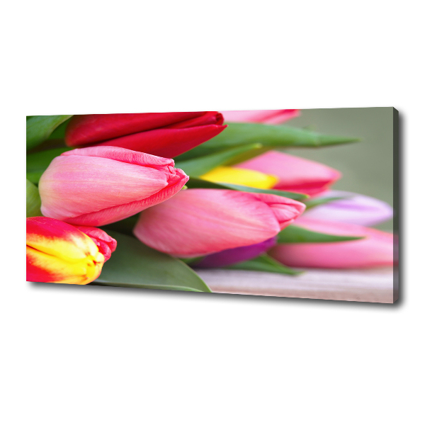 Canvas wall art Colorful tulips