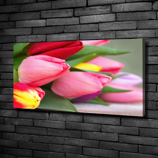 Canvas wall art Colorful tulips