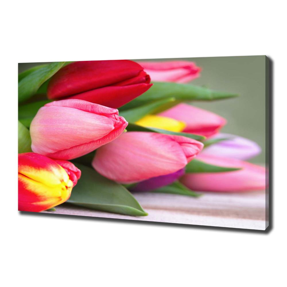 Canvas wall art Colorful tulips