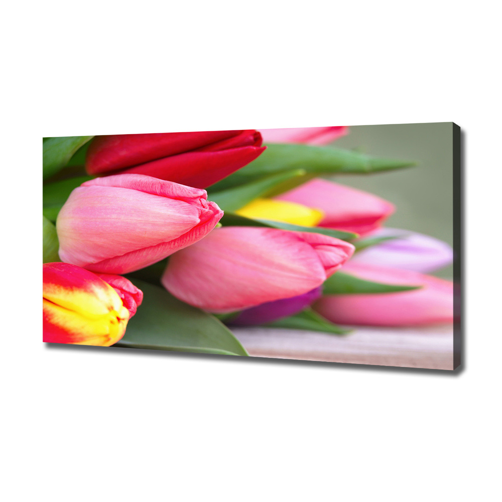 Canvas wall art Colorful tulips