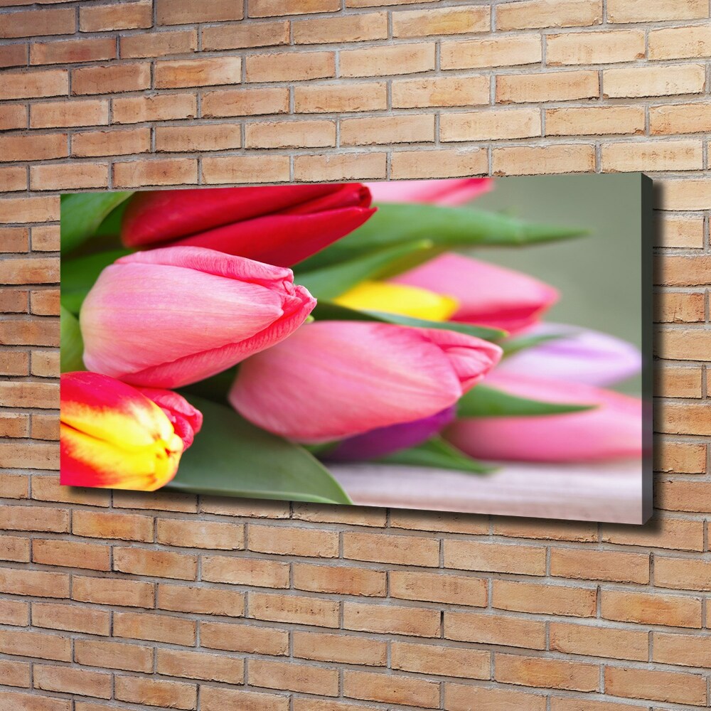 Canvas wall art Colorful tulips