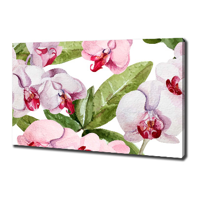 Canvas wall art Pink orchids