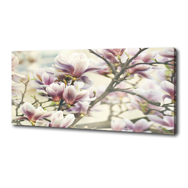 Canvas wall art Magnolia