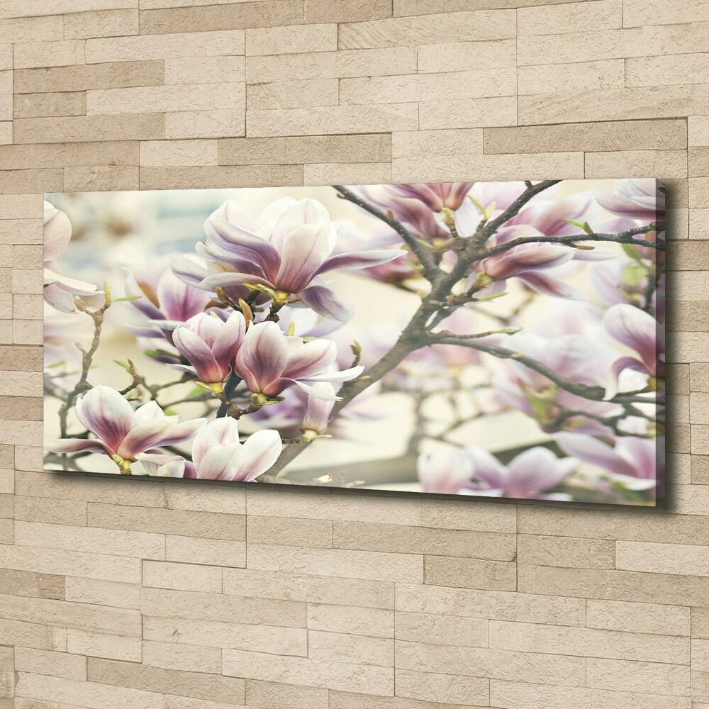 Canvas wall art Magnolia