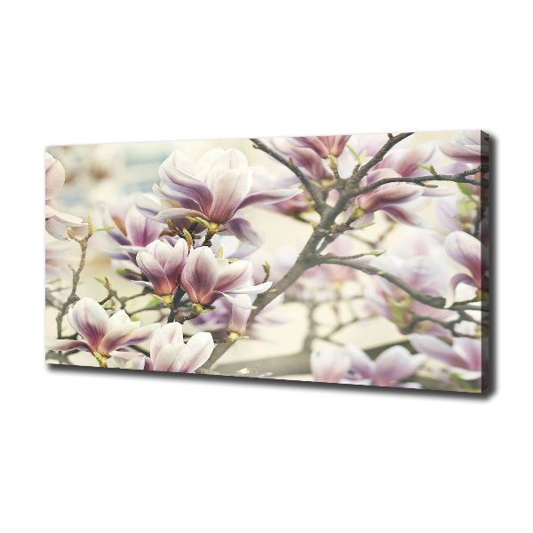 Canvas wall art Magnolia