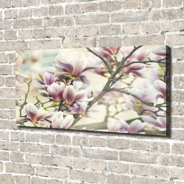 Canvas wall art Magnolia