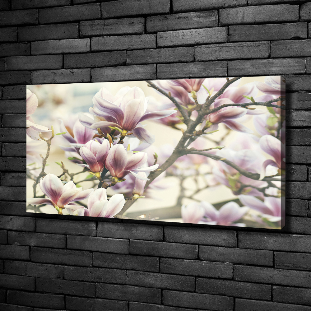 Canvas wall art Magnolia